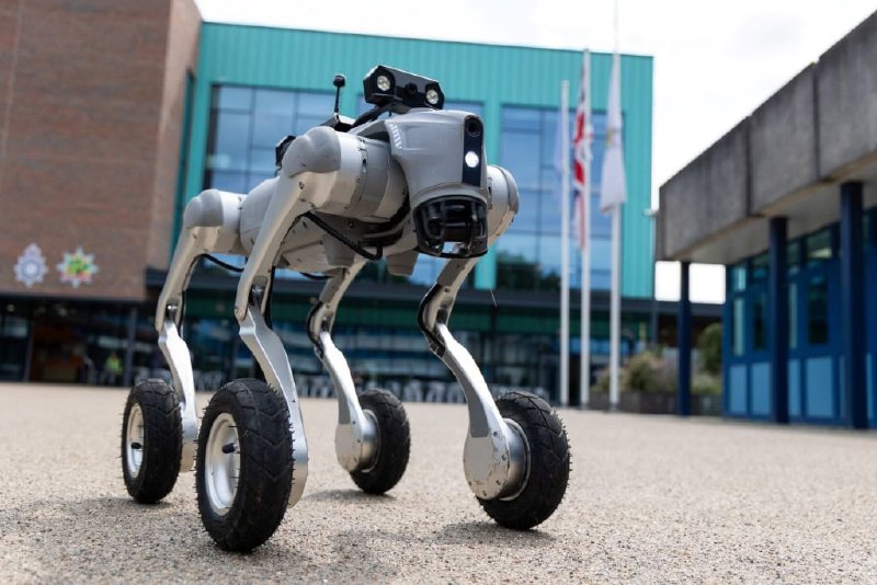 英國警隊試用中國機械狗　最快明年全國投入應用　專家警告存在監控風險