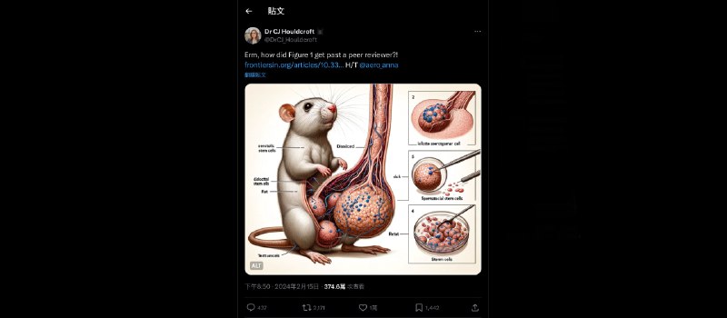 期刊論文使用AI生成的圖片太不科學，出版商Frontiers緊急撤回