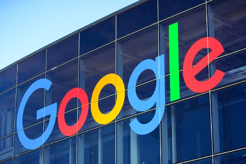 芬蘭Google非法砍伐25萬棵樹建數據中心，引發全國性抗議與反思