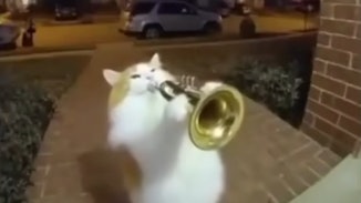 「slop」獲選韋氏字典2025年度詞彙　劣質AI內容反映數位時代隱憂