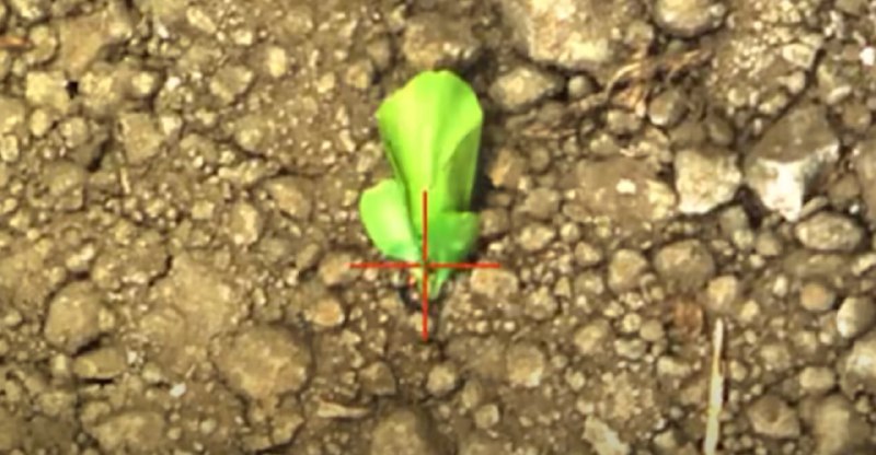 NVIDIA 人工智慧加雷射：秒殺上萬小草毫不費力