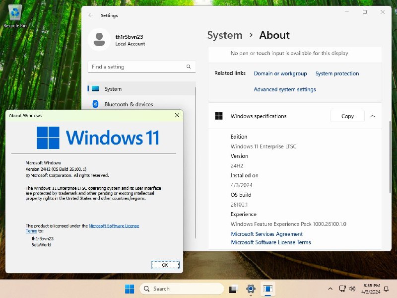 Windows 11 LTSC 2024镜像文件已经泄露 有兴趣的用户可以安装体验 – 蓝点网
