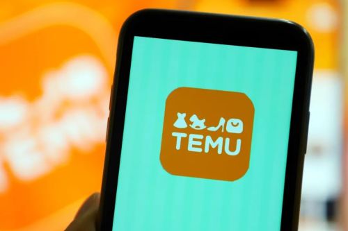 上线不到两年，Temu 已经挑起了拼多多的「大梁」 | 极客公园