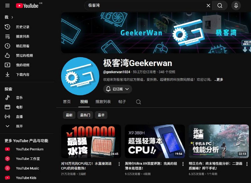 极客湾在 YouTube 频道发布的该视频亦被下架（或隐藏）