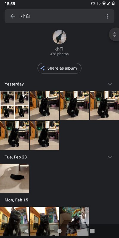 Google Photo 已经支持识别你的不同的宠物 ( 小白是图上🐱的名字 )